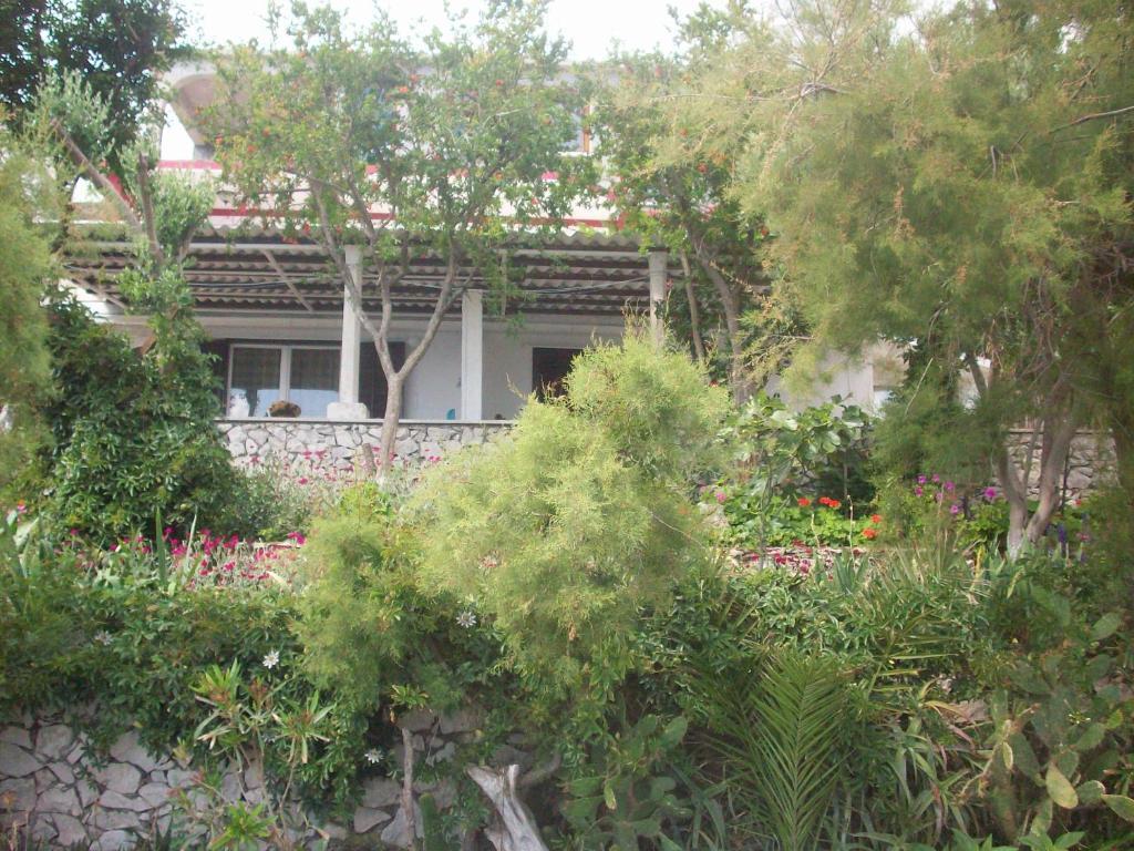 Apartments Tomovic Lumbarda Exterior foto