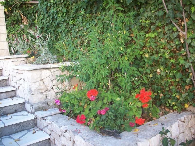 Apartments Tomovic Lumbarda Exterior foto